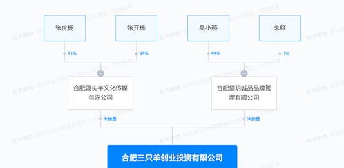 疯狂小杨哥旗下三只羊创业投资公司增资