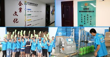 小型家庭作坊式美缝剂加工厂投资详解 设备、成本与创业指南